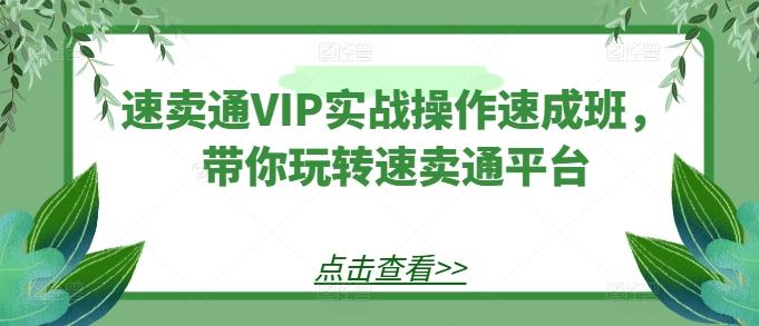 速卖通VIP实战操作速成班，带你玩转速卖通平台-有道资源网