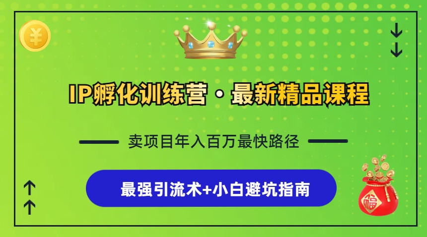 IP孵化训练营，知识付费全流程+最强引流术+小白避坑指南-有道资源网