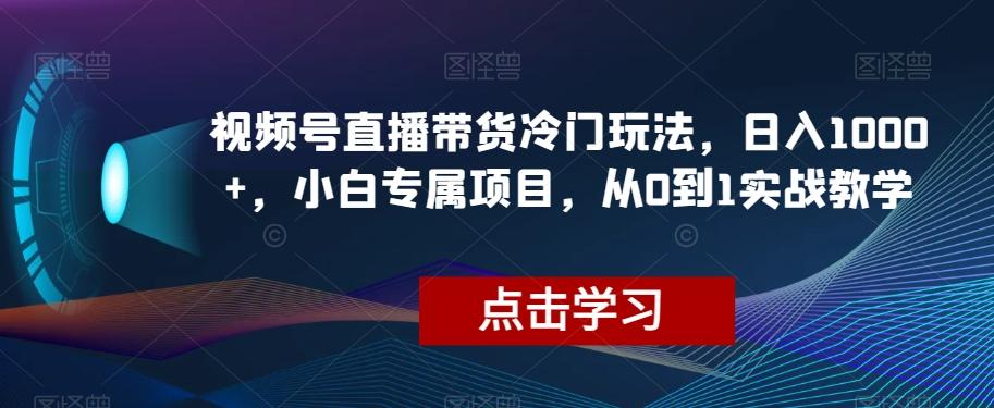 视频号直播带货冷门玩法，日入1000+，小白专属项目，从0到1实战教学【揭秘】-有道资源网