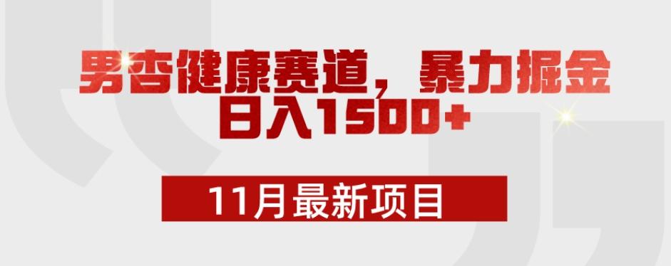 11月最新项目，男杏健康赛道，暴力掘金，日入1500+-有道资源网