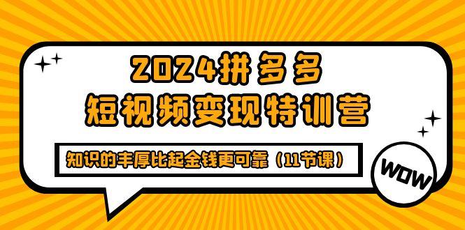 (9817期)2024拼多多短视频变现特训营，知识的丰厚比起金钱更可靠(11节课)-有道资源网