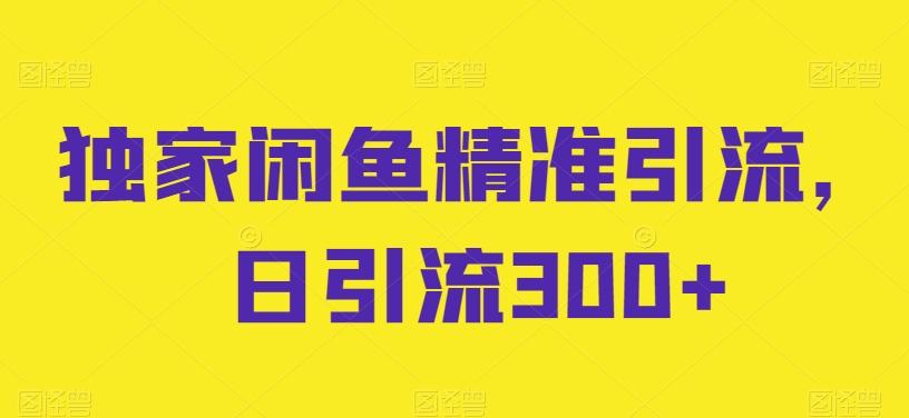 独家闲鱼精准引流，日引流300+【揭秘】-有道资源网