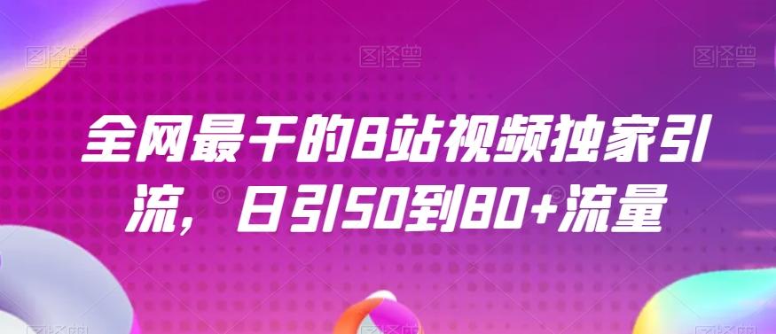 全网最干的B站视频独家引流，日引50到80+流量【揭秘】-有道资源网