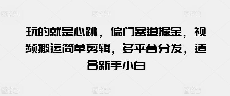 玩的就是心跳，偏门赛道掘金，视频搬运简单剪辑，多平台分发，适合新手小白【揭秘】-有道资源网