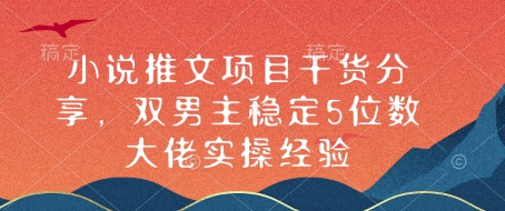 小说推文项目干货分享，双男主稳定5位数大佬实操经验-有道资源网