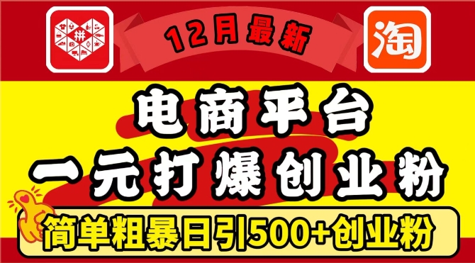 12月最新：电商平台1元打爆创业粉，简单粗暴日引500+精准创业粉，轻松月入过W【揭秘】-有道资源网