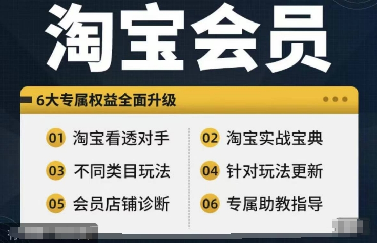 淘宝会员【淘宝所有课程，全面分析对手】，初级到高手全系实战宝典-有道资源网