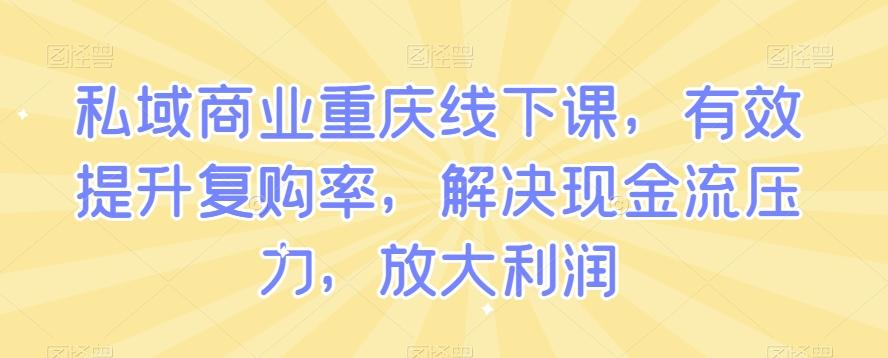 私域商业重庆线下课，有效提升复购率，解决现金流压力，放大利润-有道资源网