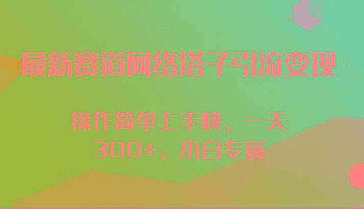 最新赛道网络搭子引流变现!!操作简单上手快，一天300+，小白专属-有道资源网