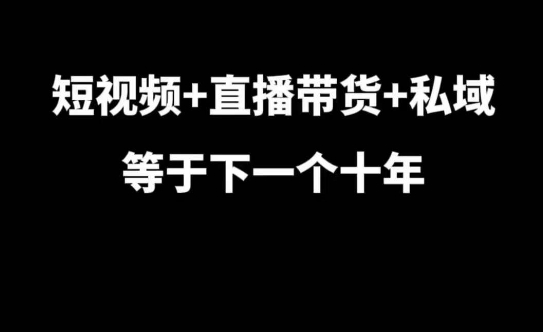 短视频+直播带货+私域等于下一个十年，大佬7年实战经验总结-有道资源网