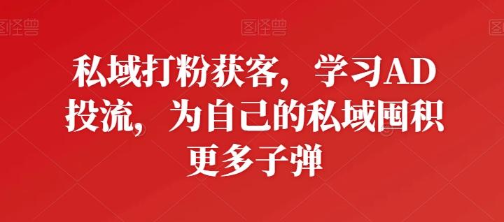 私域打粉获客，学习AD投流，为自己的私域囤积更多子弹-有道资源网