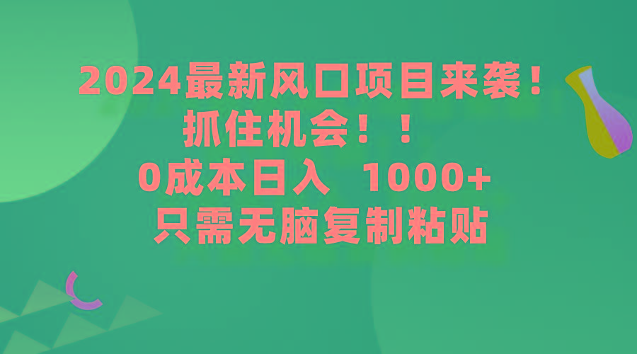 (9899期)2024最新风口项目来袭，抓住机会，0成本一部手机日入1000+，只需无脑复…-有道资源网