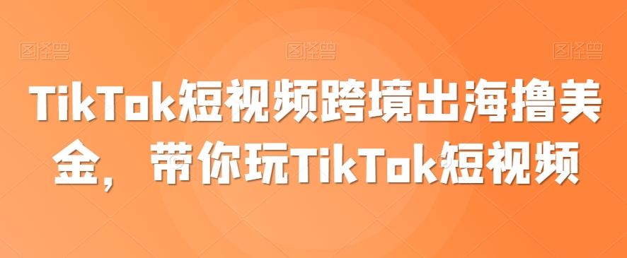 TikTok短视频跨境出海撸美金，带你玩TikTok短视频-有道资源网