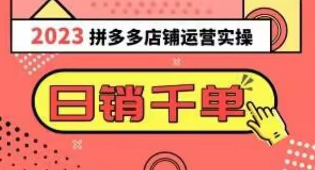 2023拼多多运营实操，每天30分钟日销1000＋，爆款选品技巧大全（10节课）-有道资源网