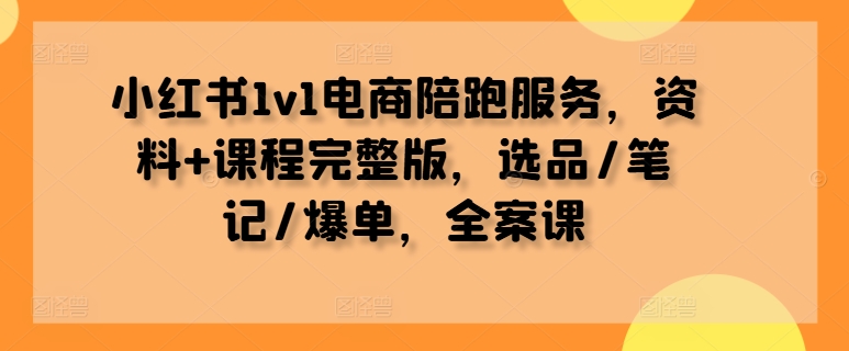 小红书1v1电商陪跑服务，资料+课程完整版，选品/笔记/爆单，全案课-有道资源网