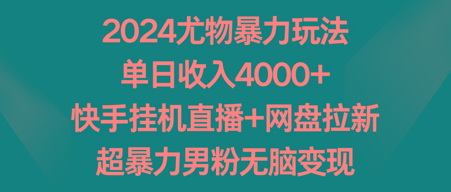 2024尤物暴力玩法 单日收入4000+快手挂机直播+网盘拉新 超暴力男粉无脑变现-有道资源网