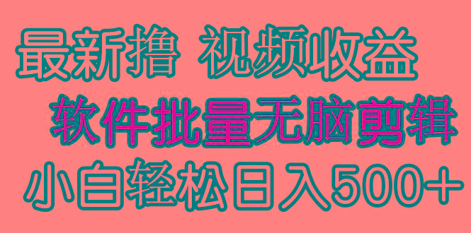 (9569期)发视频撸收益，软件无脑批量剪辑，第一天发第二天就有钱-有道资源网