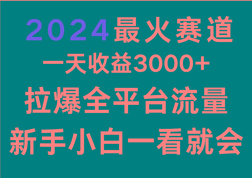 2024最火赛道，一天收一3000+.拉爆全平台流量，新手小白一看就会-有道资源网