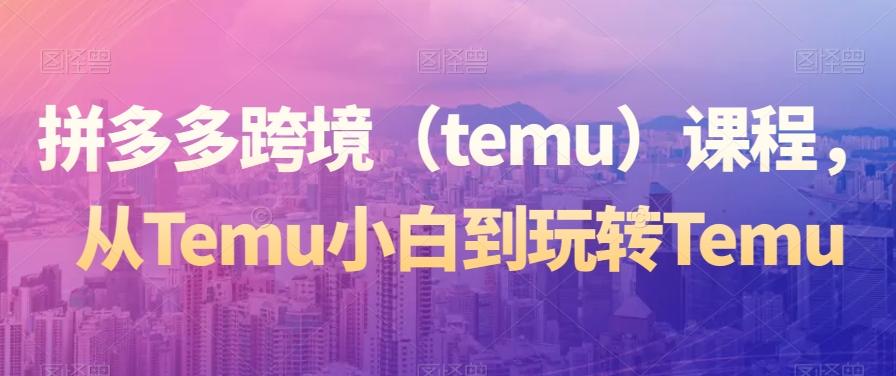 拼多多跨境（temu）课程，从Temu小白到玩转Temu-有道资源网