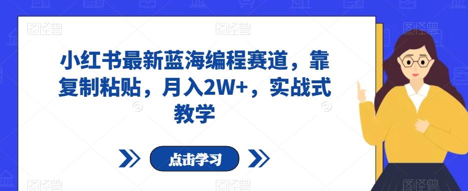 小红书最新蓝海编程赛道，靠复制粘贴，月入2W+，实战式教学【揭秘】-有道资源网