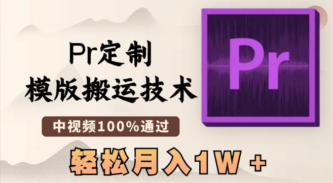 最新Pr定制模版搬运技术，中视频100%通过，几分钟一条视频，轻松月入1W＋【揭秘】-有道资源网