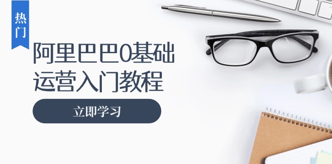 阿里巴巴运营零基础入门教程：涵盖开店、运营、推广，快速成为电商高手-有道资源网