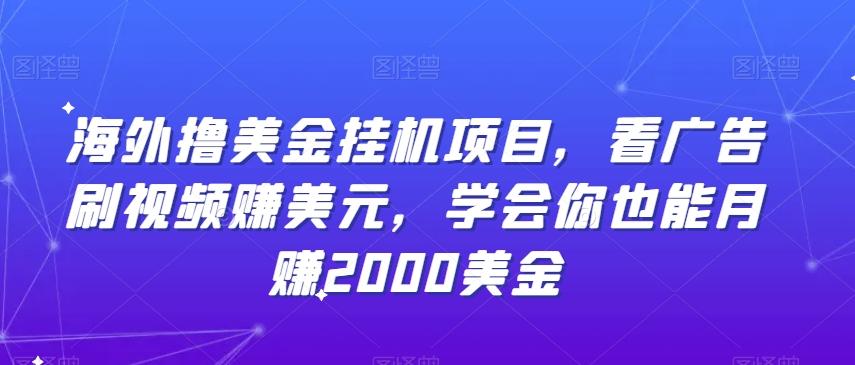 海外撸美金挂机项目，看广告刷视频赚美元，学会你也能月赚2000美金-有道资源网