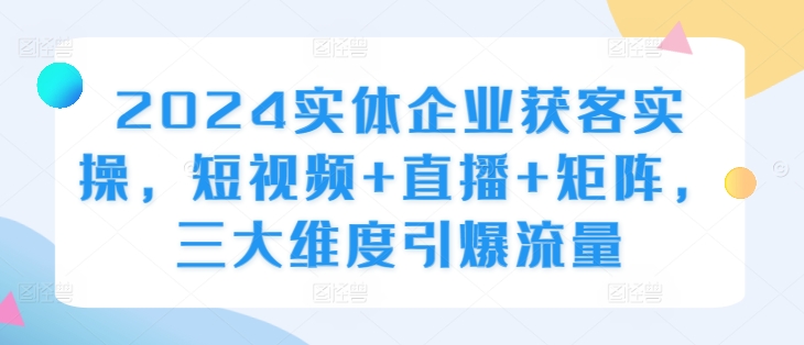 2024实体企业获客实操，短视频+直播+矩阵，三大维度引爆流量-有道资源网