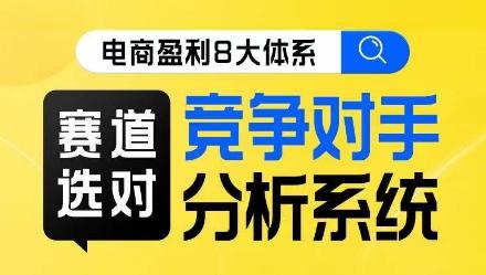 电商盈利8大体系·赛道选对，​竞争对手分析系统线上课-有道资源网