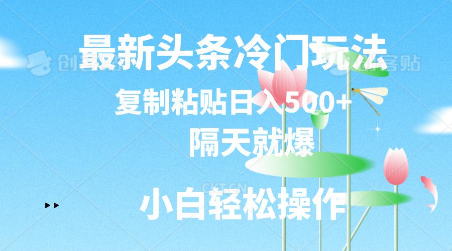 最新头条冷门玩法，隔天就爆，复制粘贴日入500+-有道资源网