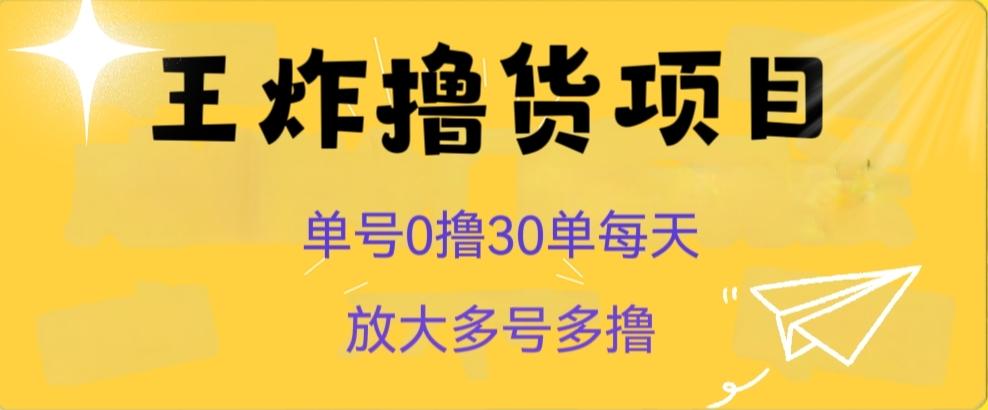 王炸撸货项目，单号0撸30单每天，多号多撸【揭秘】-有道资源网