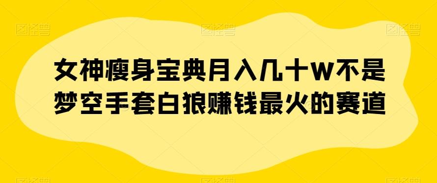 女神瘦身宝典月入几十W不是梦空手套白狼赚钱最火的赛道【揭秘】-有道资源网