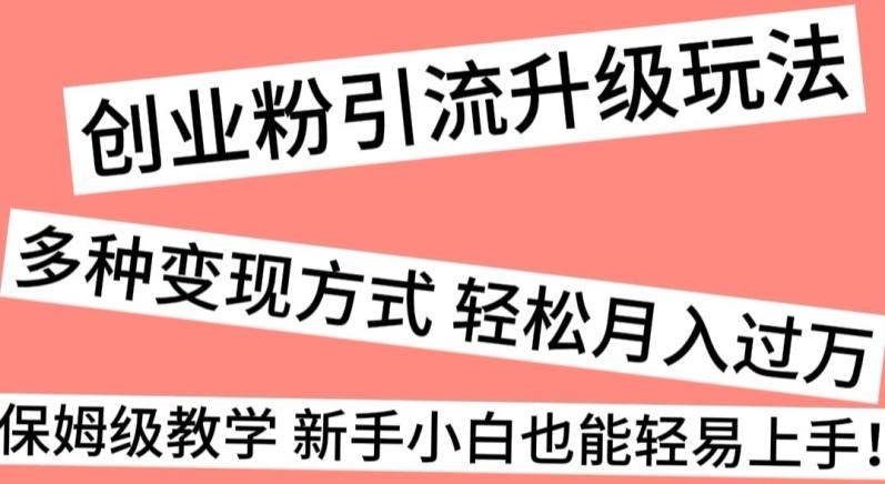 创业粉引流升级玩法，多种变现方式轻松月入过万，保姆级教学新手小白也能轻易上手！-有道资源网