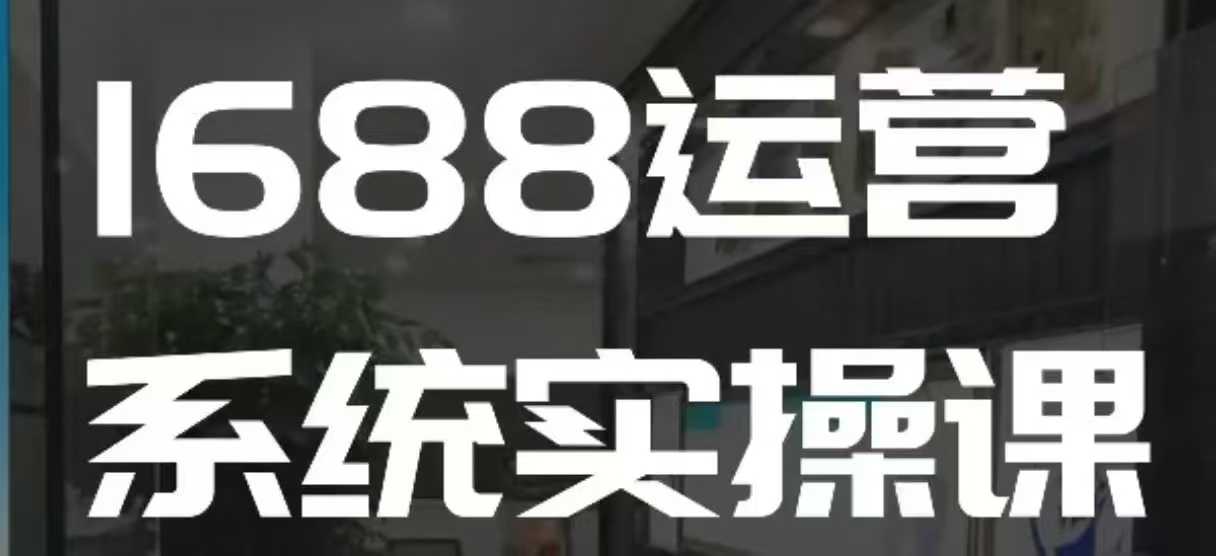 1688高阶运营系统实操课，快速掌握1688店铺运营的核心玩法-有道资源网