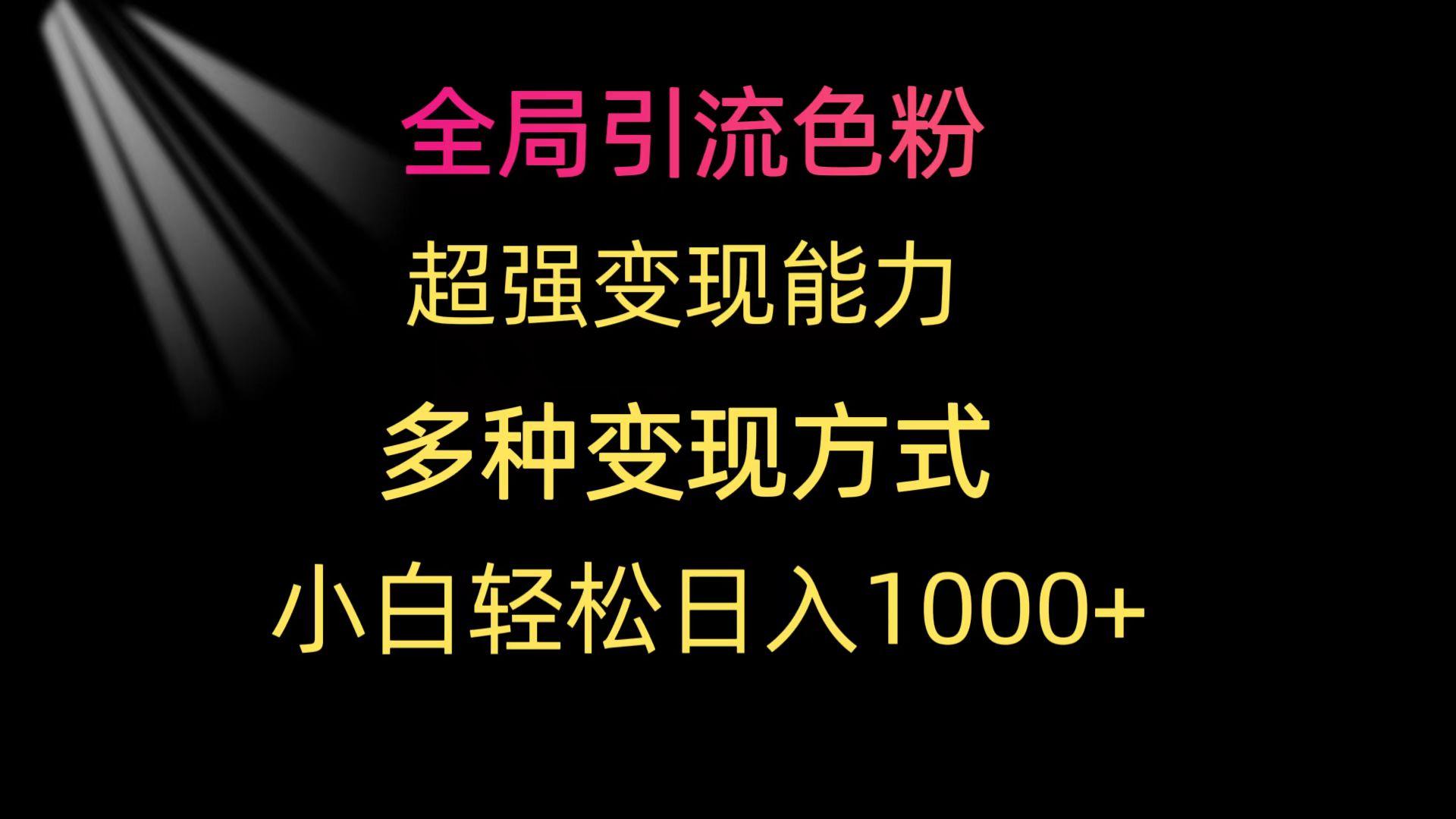 (9680期)全局引流色粉 超强变现能力 多种变现方式 小白轻松日入1000+-有道资源网