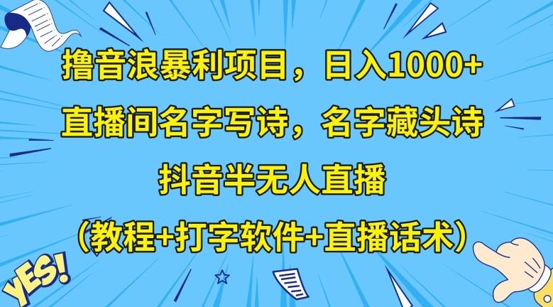 撸音浪暴利项目，日入1000+，直播间名字写诗，名字藏头诗，抖音半无人直播（教程+打字软件+直播话术）【揭秘】-有道资源网