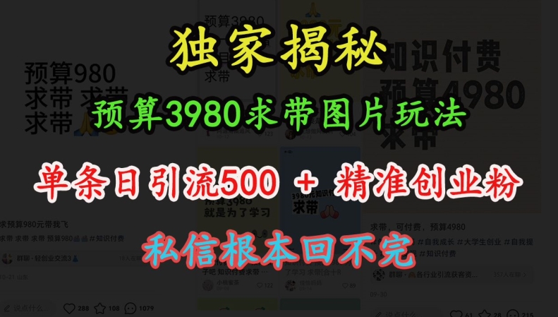 预算3980求带 图片玩法，单条日引流500+精准创业粉，私信根本回不完-有道资源网