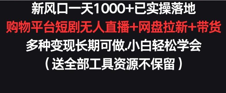 新风口一天1000+已实操落地购物平台短剧无人直播+网盘拉新+带货多种变现长期可做【揭秘】-有道资源网