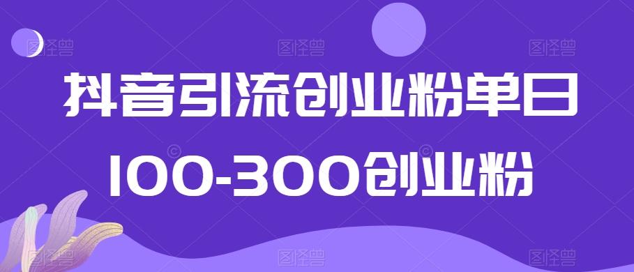 抖音引流创业粉单日100-300创业粉【揭秘】-有道资源网