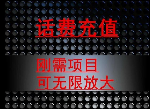 最新蓝海项目，刚需赛道，95折充话费月入5位数-有道资源网