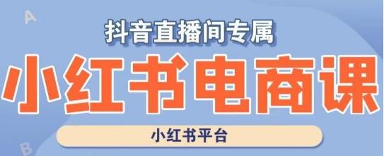 小红书电商高级运营课程，实操教学+案例分析-有道资源网