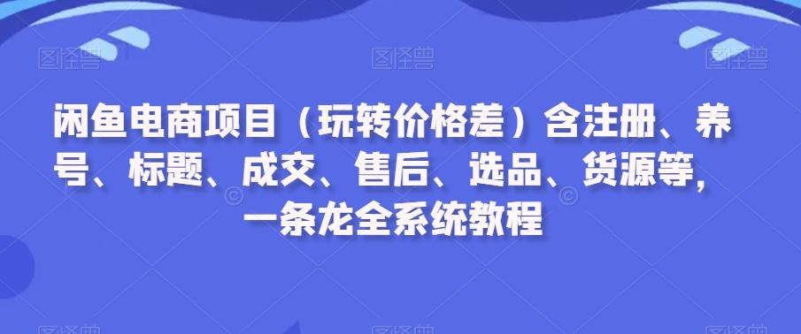 闲鱼电商项目(玩转价格差)含注册、养号、标题、成交、售后、选品、货源等，一条龙全系统教程-有道资源网