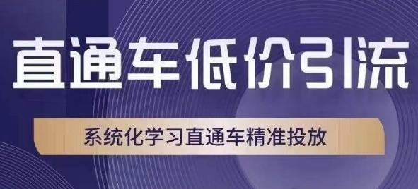 直通车低价引流课，系统化学习直通车精准投放-有道资源网