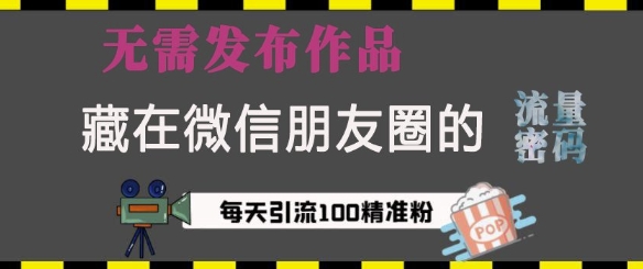 藏在微信朋友圈的流量密码，无需发布作品，单日引流100+精准创业粉【揭秘】-有道资源网