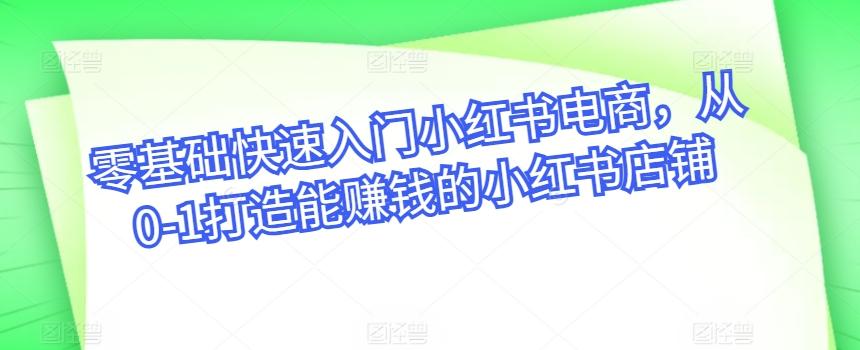 零基础快速入门小红书电商，从0-1打造能赚钱的小红书店铺-有道资源网