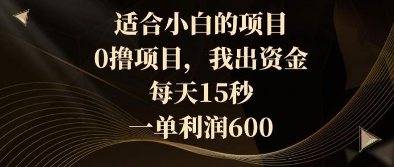 适合小白的项目，0撸项目，我出资金，每天15秒，一单利润600-有道资源网