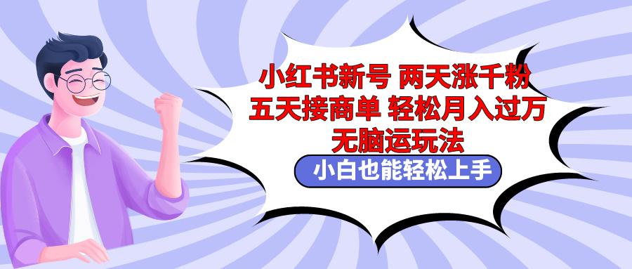 小红书新号两天涨千粉五天接商单轻松月入过万 无脑搬运玩法 小白也能轻…-有道资源网