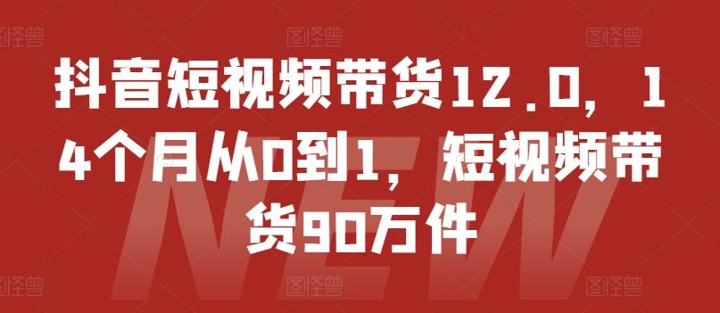 抖音短视频带货12.0，14个月从0到1，短视频带货90万件-有道资源网