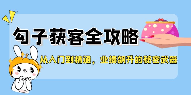 从入门到精通，勾子获客全攻略，业绩飙升的秘密武器-有道资源网