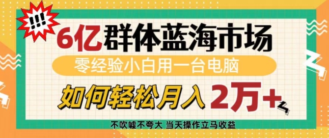 6亿群体蓝海市场，零经验小白用一台电脑，如何轻松月入过w【揭秘】-有道资源网